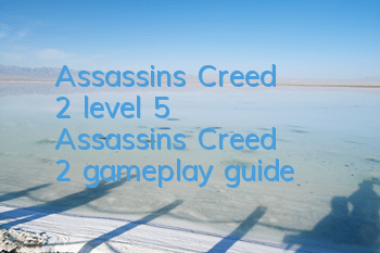 Assassin's Creed 2 level 5 (Assassin's Creed 2 gameplay guide)