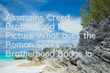 Assassin's Creed Brotherhood Badge Picture (What does the Roman Spurs Brotherhood Badge look like)