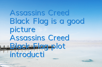 Assassin's Creed Black Flag is a good picture (Assassin's Creed Black Flag plot introduction)