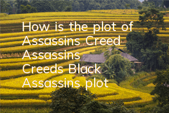 How is the plot of Assassin's Creed? (Assassin's Creed's Black Assassin's plot)
