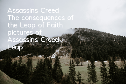 Assassin's Creed The consequences of the Leap of Faith (pictures of Assassin's Creed Leap of Faith)