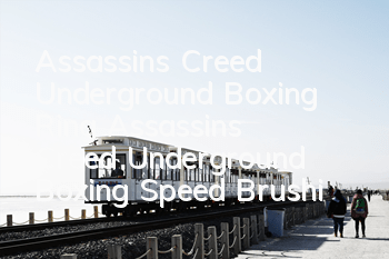 Assassin's Creed Underground Boxing Ring (Assassin's Creed Underground Boxing Speed Brushing Skills)