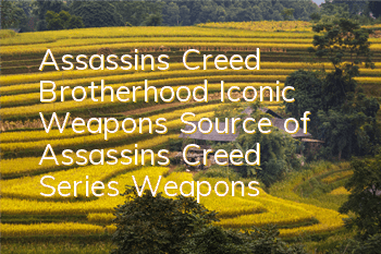 Assassin's Creed Brotherhood Iconic Weapons (Source of Assassin's Creed Series Weapons)
