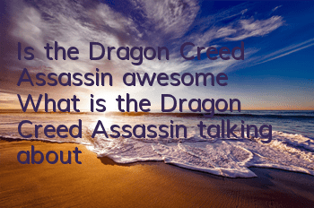 Is the Dragon Creed Assassin awesome? (What is the Dragon Creed Assassin talking about)