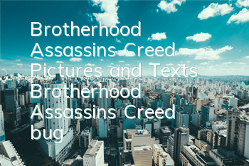 Brotherhood Assassin's Creed Pictures and Texts (Brotherhood Assassin's Creed bug)