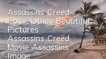 Assassin's Creed Cos Clothes Beautiful Pictures (Assassin's Creed Movie Assassin's Image)