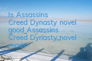 Is Assassin's Creed Dynasty novel good? (Assassin's Creed Dynasty novel reads)