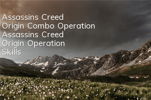 Assassin's Creed Origin Combo Operation (Assassin's Creed Origin Operation Skills)