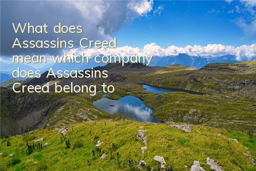 What does Assassin's Creed mean (which company does Assassin's Creed belong to)