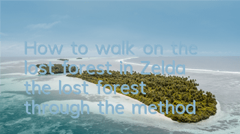 How to walk on the lost forest in Zelda (the lost forest through the method)