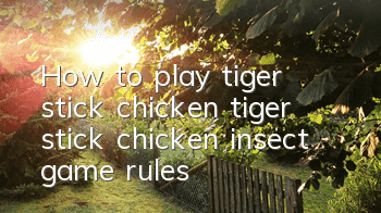 How to play tiger stick chicken (tiger stick chicken insect game rules)
