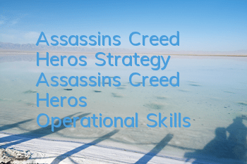 Assassin's Creed Hero's Strategy (Assassin's Creed Hero's Operational Skills)