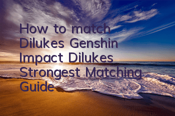 How to match Diluke's Genshin Impact (Diluke's Strongest Matching Guide)