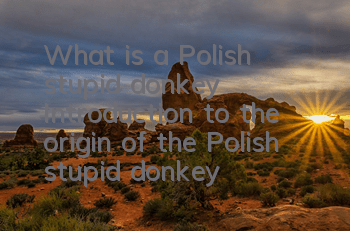 What is a Polish stupid donkey (Introduction to the origin of the Polish stupid donkey)