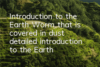 Introduction to the Earth Worm that is covered in dust (detailed introduction to the Earth Worm)
