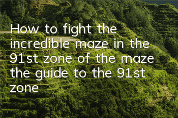 How to fight the incredible maze in the 91st zone of the maze (the guide to the 91st zone of the maze)