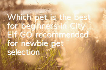 Which pet is the best for beginners in City Elf GO (recommended for newbie pet selection)