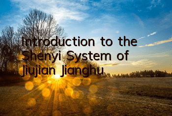 Introduction to the Shenyi System of 