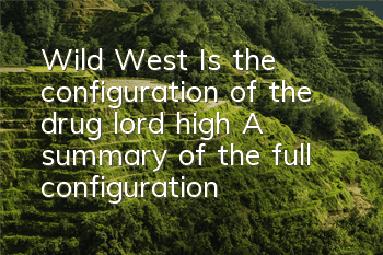 Wild West: Is the configuration of the drug lord high (A summary of the full configuration of the review version)