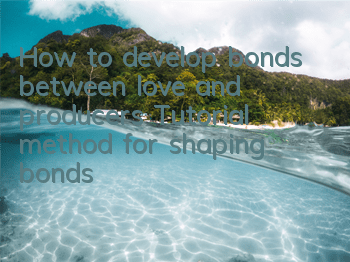 How to develop bonds between love and producers (Tutorial method for shaping bonds)
