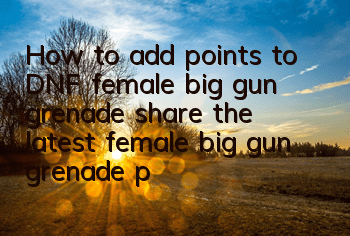 How to add points to DNF female big gun grenade (share the latest female big gun grenade photo of brushing points)