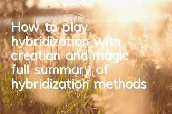 How to play hybridization with creation and magic (full summary of hybridization methods)