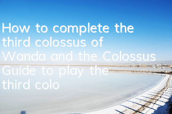 How to complete the third colossus of Wanda and the Colossus (Guide to play the third colossus)