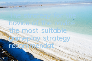 The strategy for the novice of the novice (the most suitable gameplay strategy recommendation)