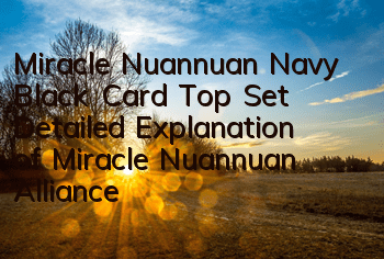 Miracle Nuannuan Navy Black Card Top Set Detailed Explanation of Miracle Nuannuan Alliance Navy Black Card