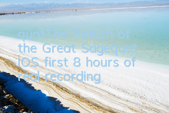 "The Return of the Great Sage" iOS first 8 hours of real recording