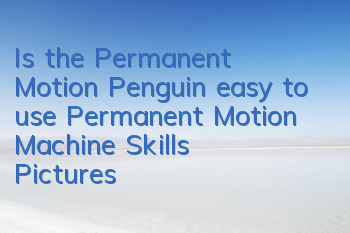 Is the Permanent Motion Penguin easy to use? Permanent Motion Machine Skills Pictures