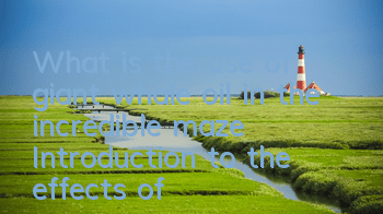 What is the use of giant whale oil in the incredible maze? Introduction to the effects of giant whale oil
