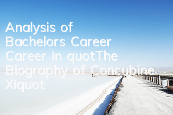 Analysis of Bachelor's Career Career in "The Biography of Concubine Xi"