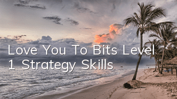 Love You To Bits Level 1 Strategy Skills