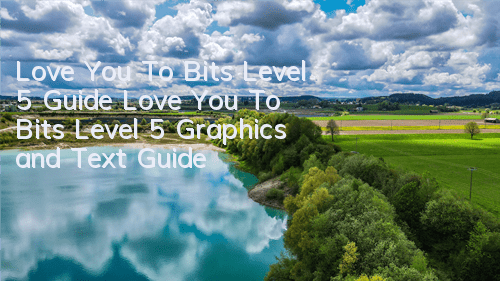 Love You To Bits Level 5 Guide Love You To Bits Level 5 Graphics and Text Guide