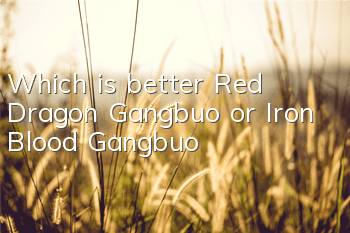 Which is better, Red Dragon Gangbuo or Iron Blood Gangbuo?