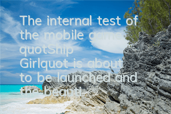 The internal test of the mobile game 