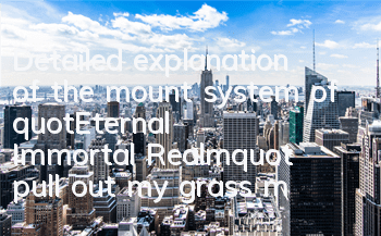 Detailed explanation of the mount system of 