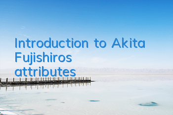 Introduction to Akita Fujishiro's attributes