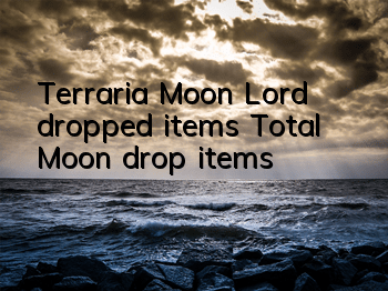 Terraria Moon Lord dropped items Total Moon drop items