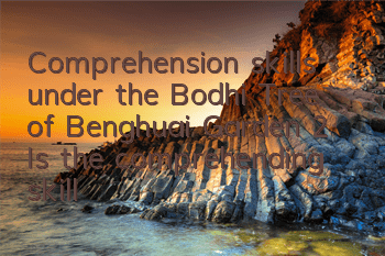Comprehension skills under the Bodhi Tree of Benghuai Garden 2 Is the comprehending skill under the Bodhi Tree good?