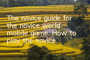 The novice guide for the novice world mobile game. How to play the novice