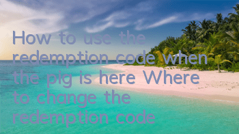 How to use the redemption code when the pig is here? Where to change the redemption code