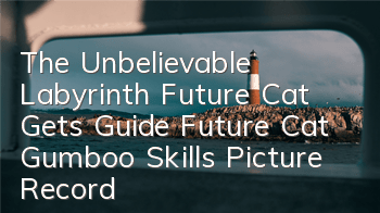 The Unbelievable Labyrinth Future Cat Gets Guide, Future Cat Gumboo Skills Picture Record