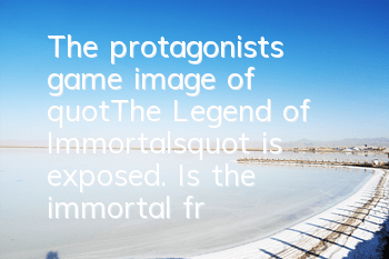 The protagonist's game image of 