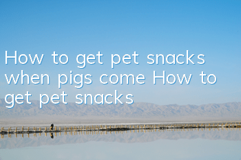 How to get pet snacks when pigs come? How to get pet snacks