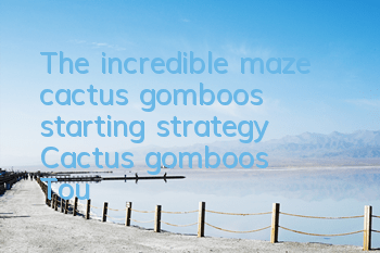 The incredible maze cactus gomboo's starting strategy Cactus gomboo's Tou