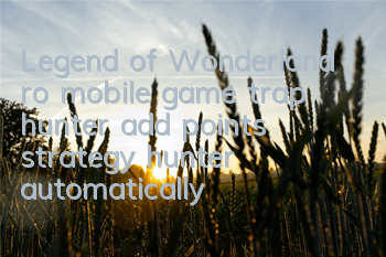 Legend of Wonderland ro mobile game trap hunter add points strategy, hunter automatically puts trap