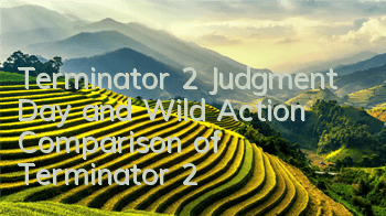 Terminator 2 Judgment Day and Wild Action Comparison of Terminator 2