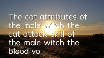 The cat attributes of the male witch, the cat attack skill of the male witch, the blood volume of the cat attack skill